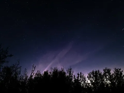 Aurora light drawn across a night sky above a silhouetted treeline