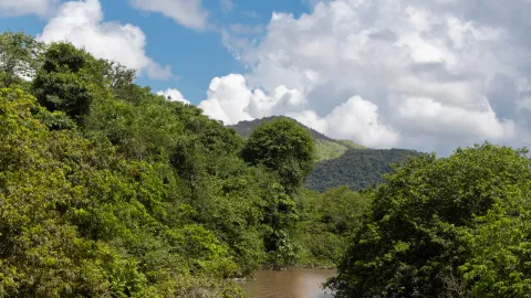 A forested river valley running between green mountain ridges