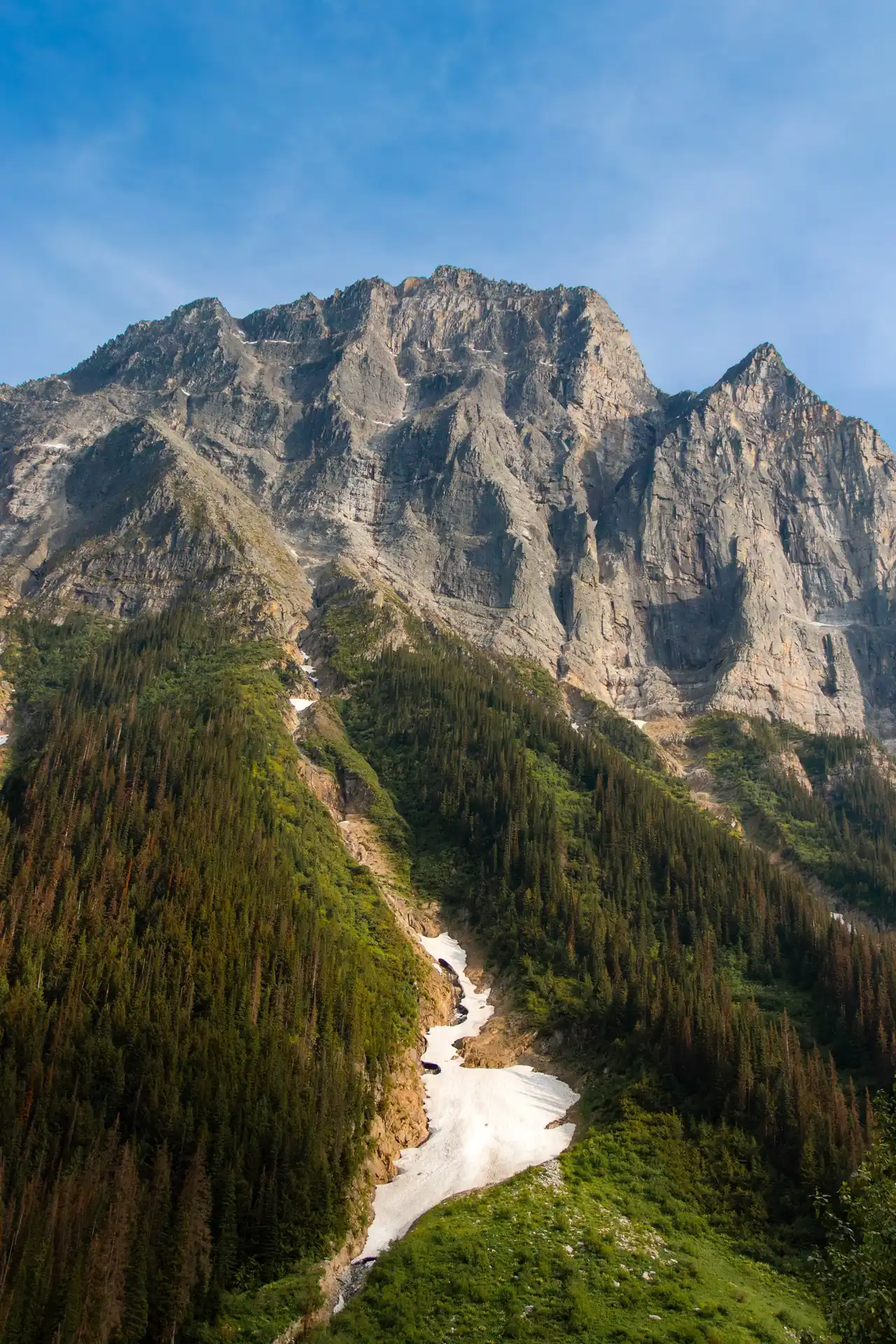 Snow-capped Rocky Mountain peaks rising above a treeline at dusk